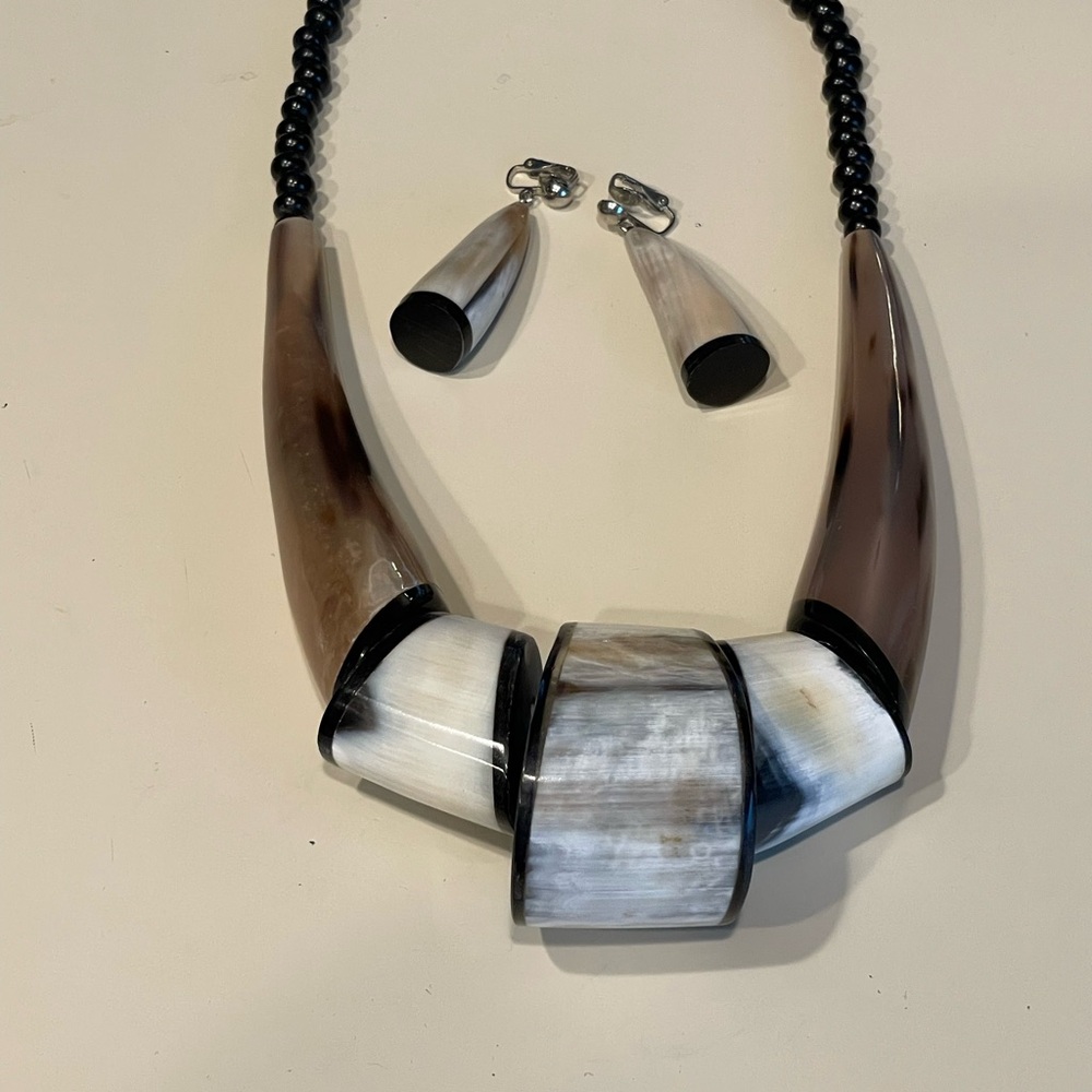 Elegant Black and Brown Necklace and Earring Set